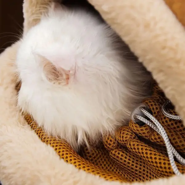 Cat Carrying Bag Pet Plush Elk Shape Backpack Winter Puppy Outgoing Backpack For Travel Hiking Outdoor Camping Indoor